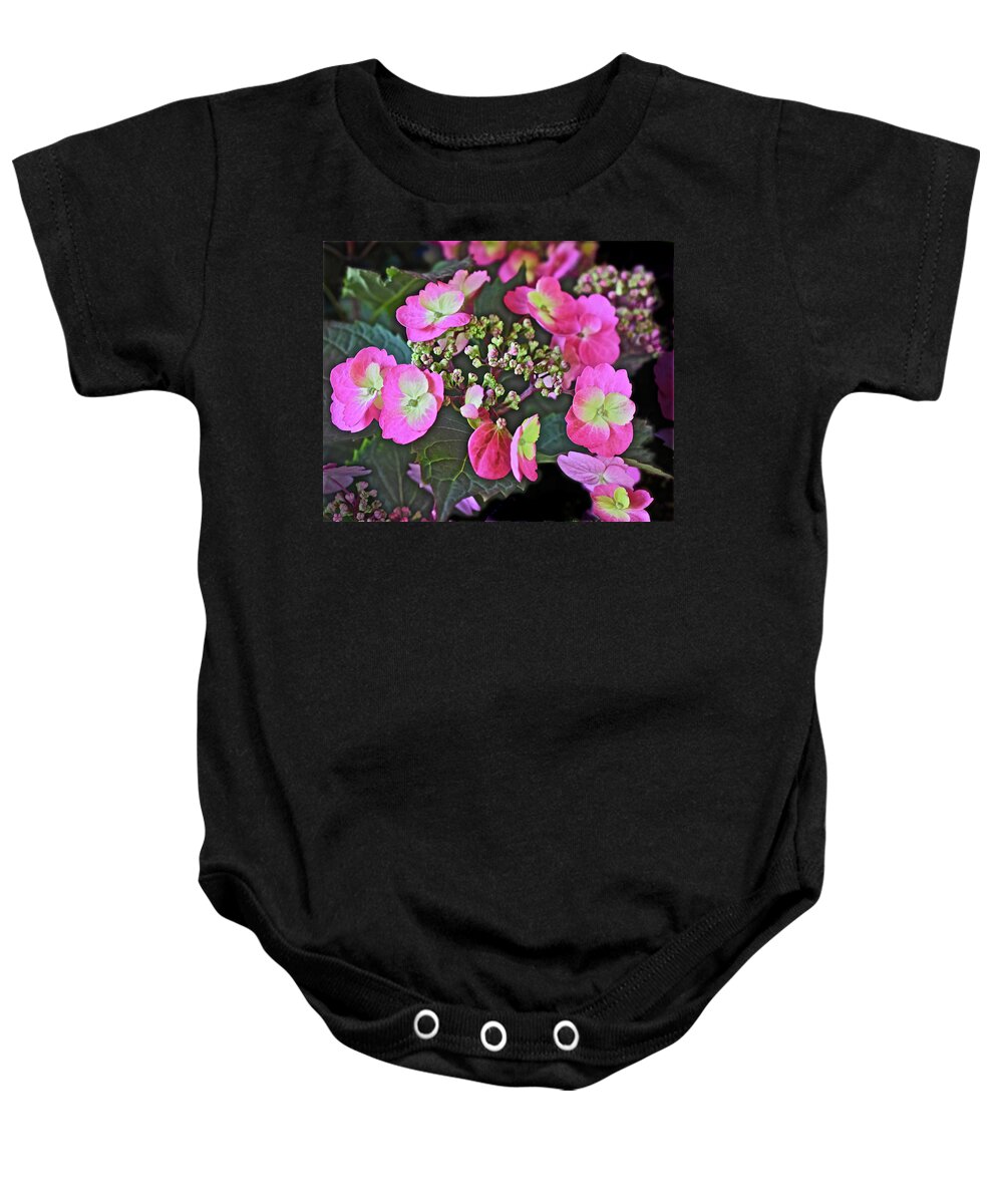 Flowers Baby Onesie featuring the photograph 2019 June At the Gardens Tuff Stuff Hydrangea by Janis Senungetuk