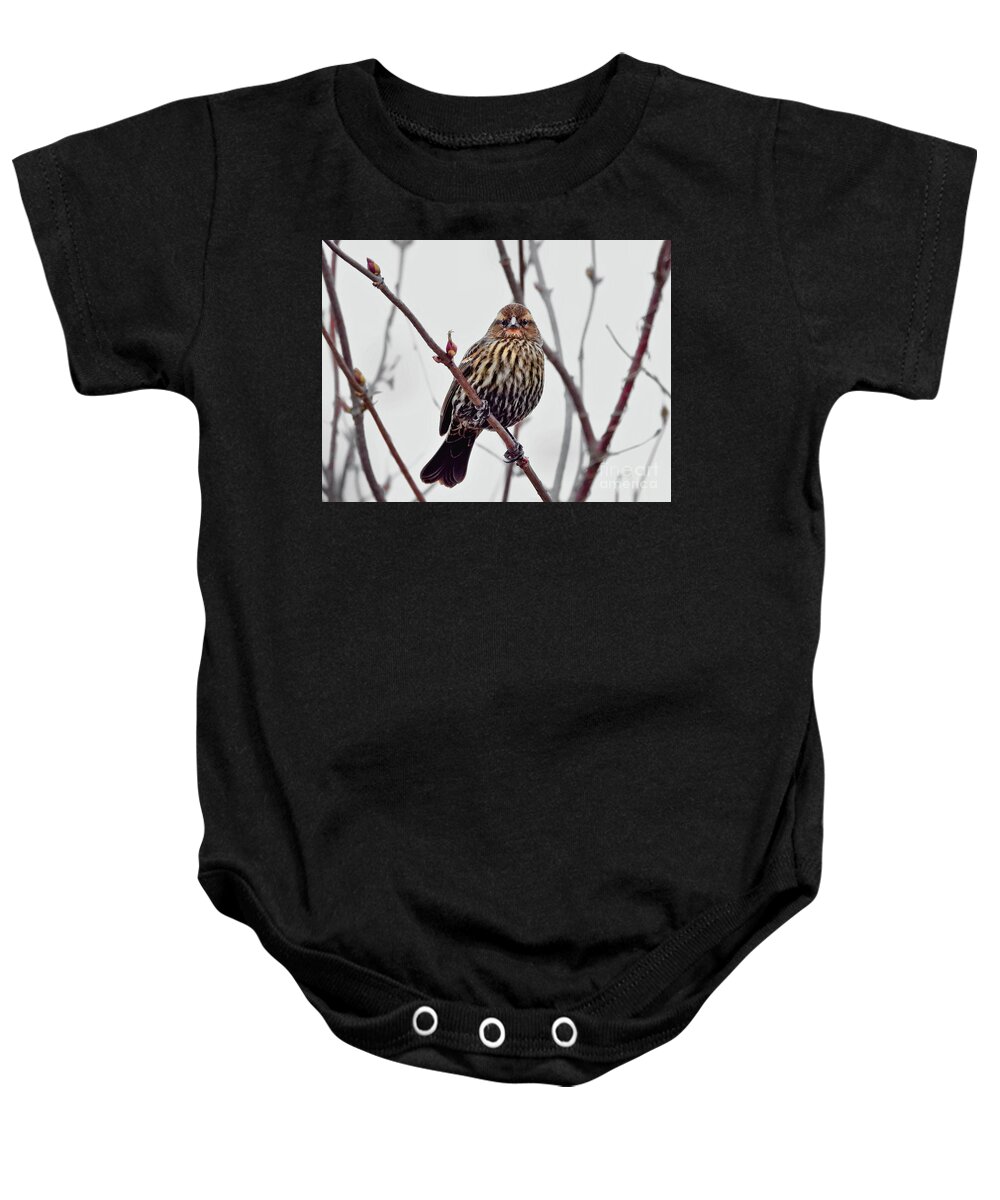 Song Sparrow Baby Onesie featuring the photograph I See You #3 by Scott Cameron