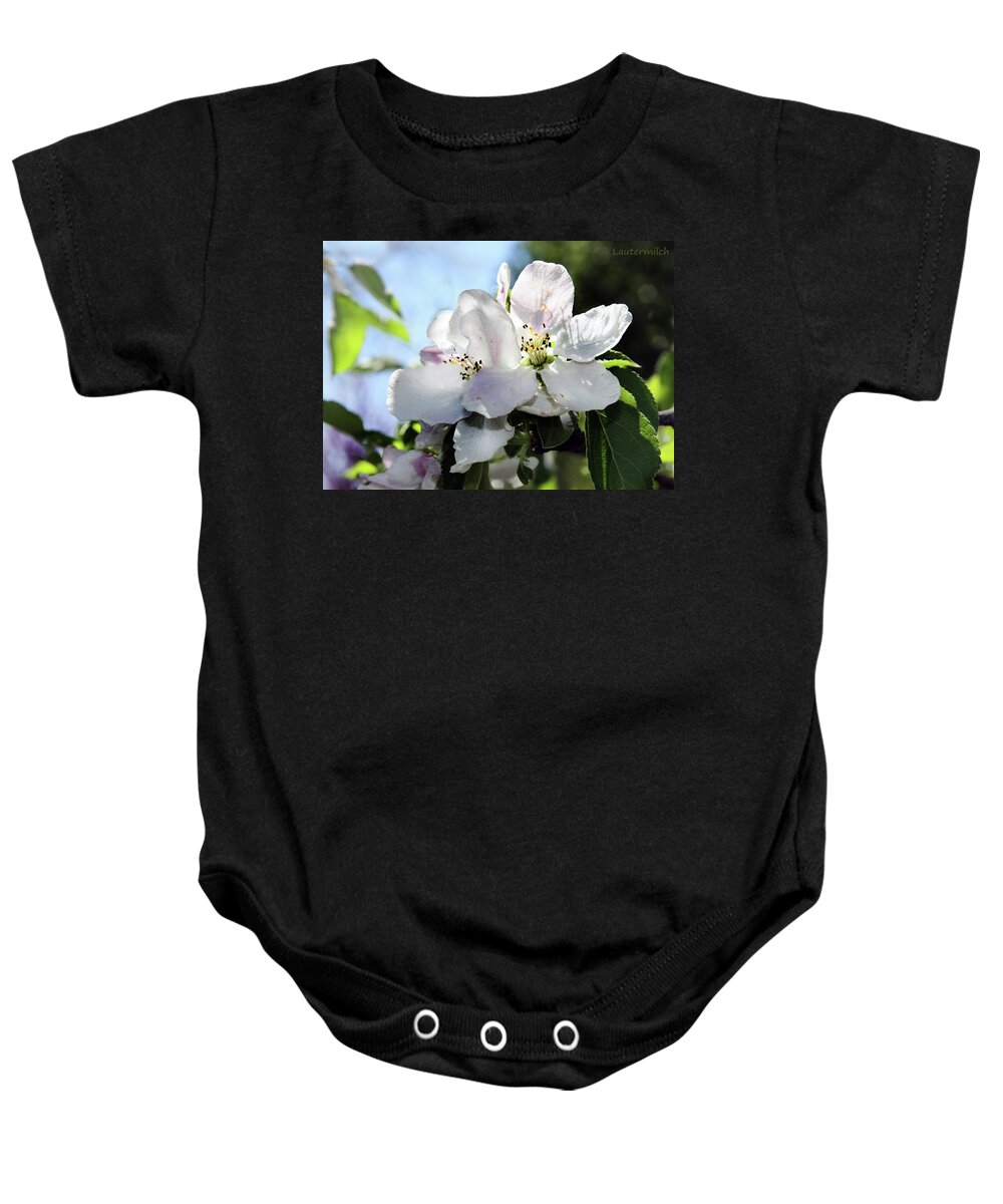 Flowers Baby Onesie featuring the photograph Apple Blossoms by John Lautermilch