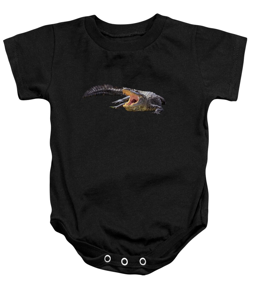 Alligator Baby Onesie featuring the photograph Alligator in Florida by Zina Stromberg