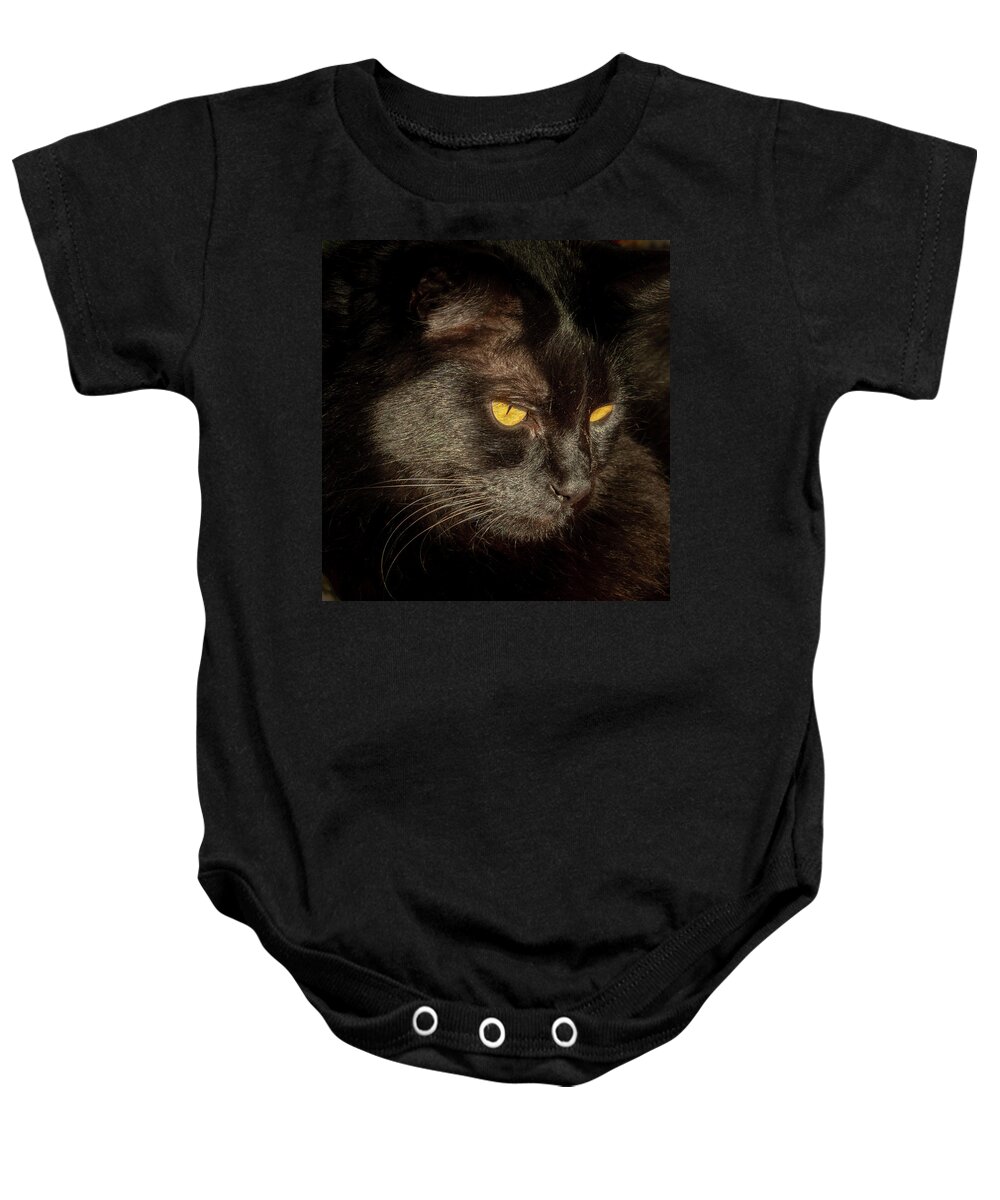 Black Cat Baby Onesie featuring the photograph Black Cat by Jean Noren