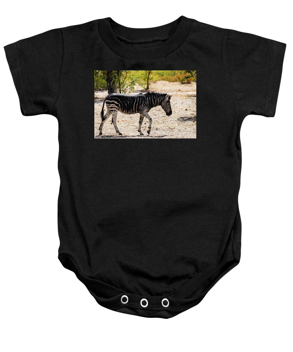 Zebra Baby Onesie featuring the photograph Black zebra, Namibia by Lyl Dil Creations