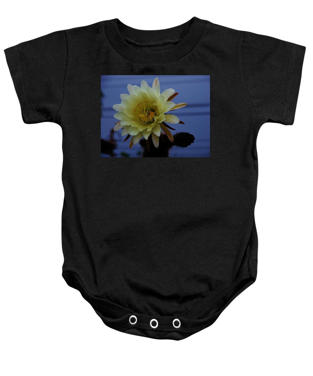 Cactus Flower Baby Onesie featuring the photograph Cactus flower by Helen Carson