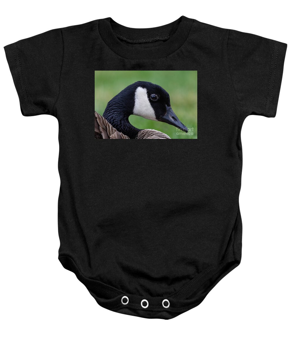 Photography Baby Onesie featuring the photograph Canada Goose Portrait by Alma Danison