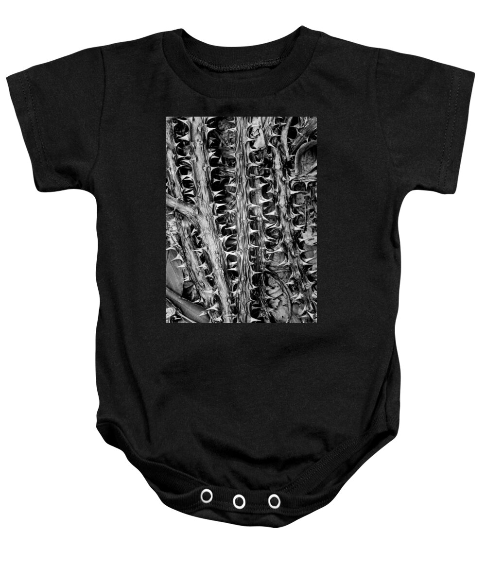 Euphorbia Baby Onesie featuring the photograph Christs' thorn by Alessandra RC