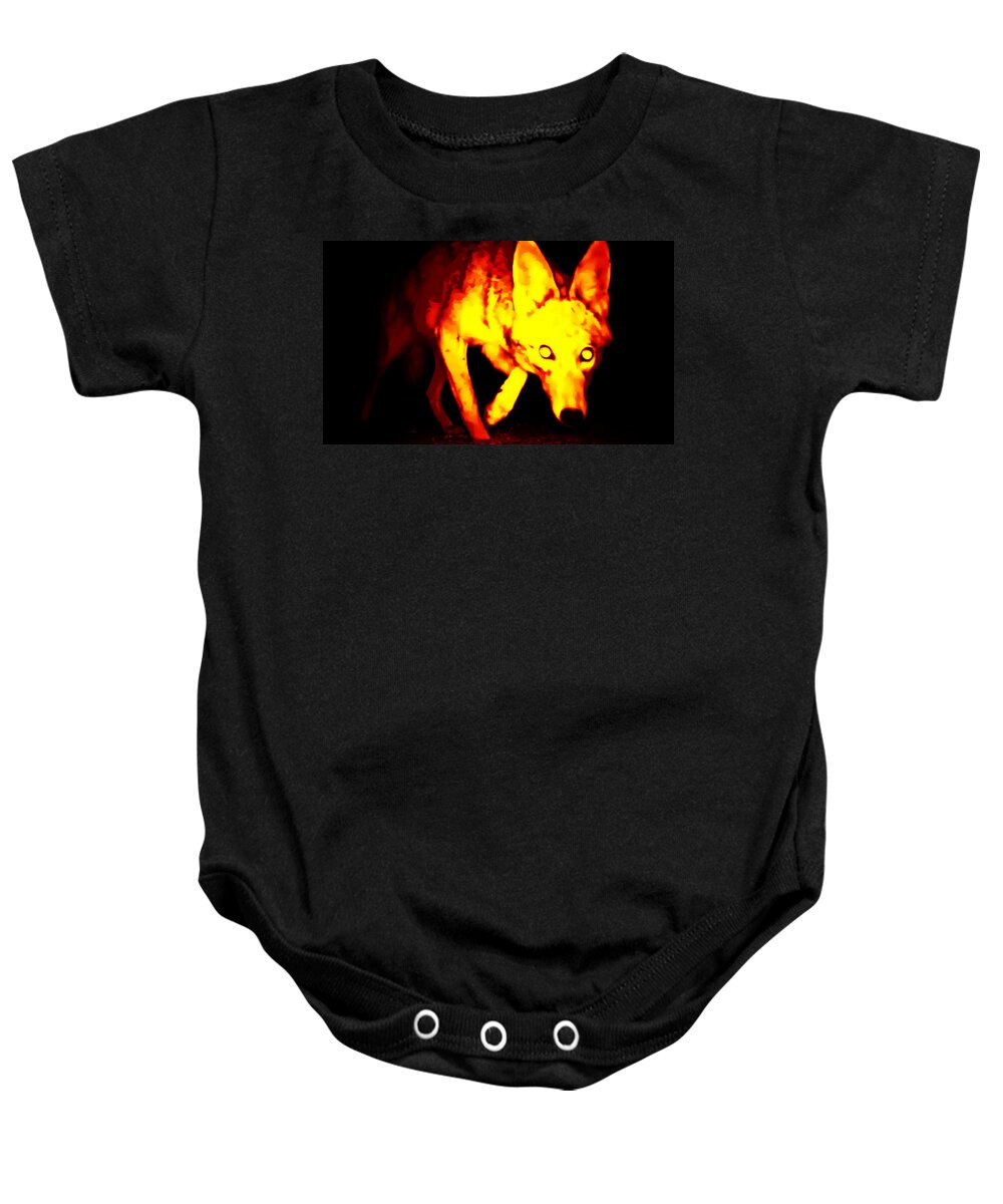 Animals Baby Onesie featuring the photograph Coyote Extreme by Judy Kennedy