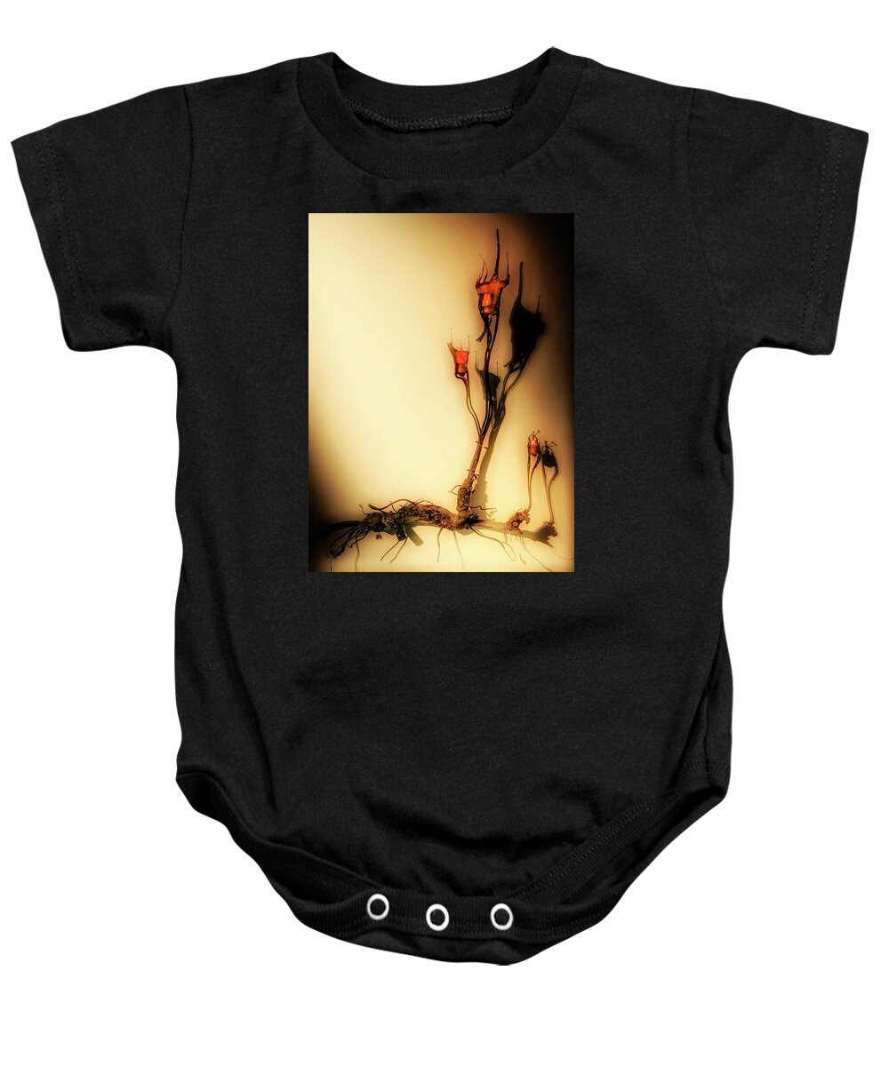 Cultivation Baby Onesie featuring the photograph Cultivation of bulbs by Micah Offman