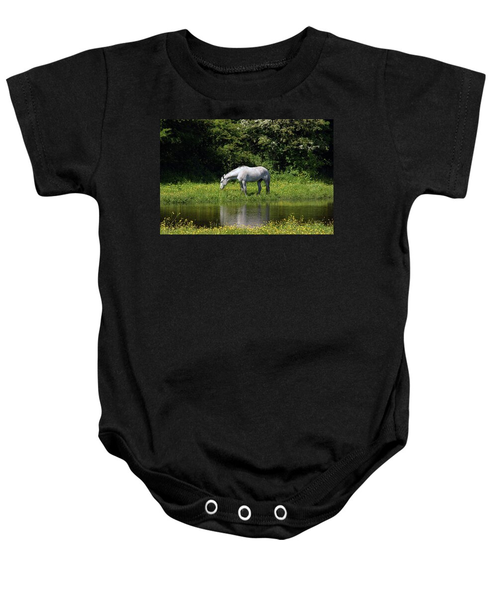 Ulverston Baby Onesie featuring the photograph CUMBRIA. Ulverston. Horse By The Canal by Lachlan Main