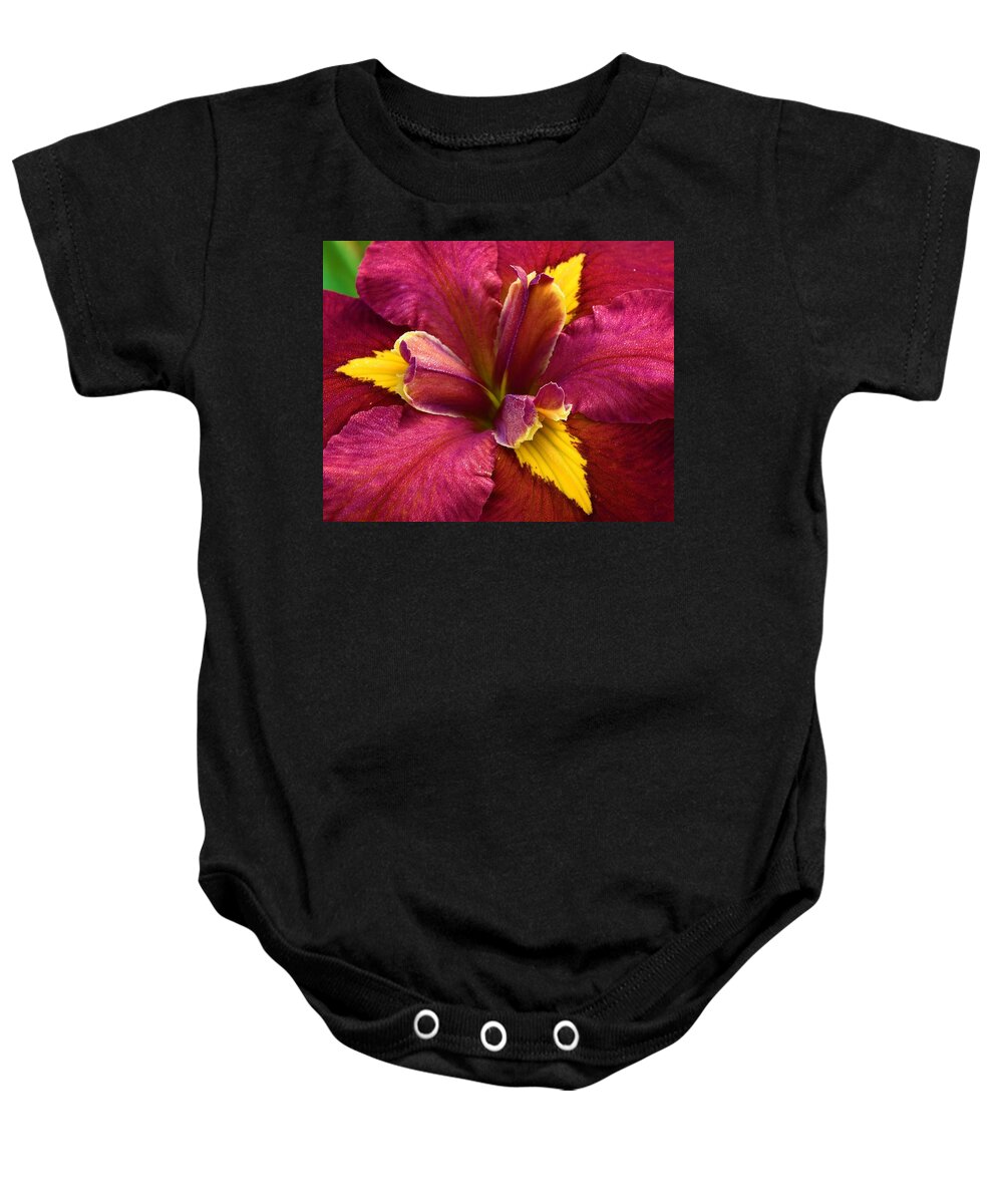 Iris Baby Onesie featuring the photograph Dew Covered Iris by Chip Gilbert