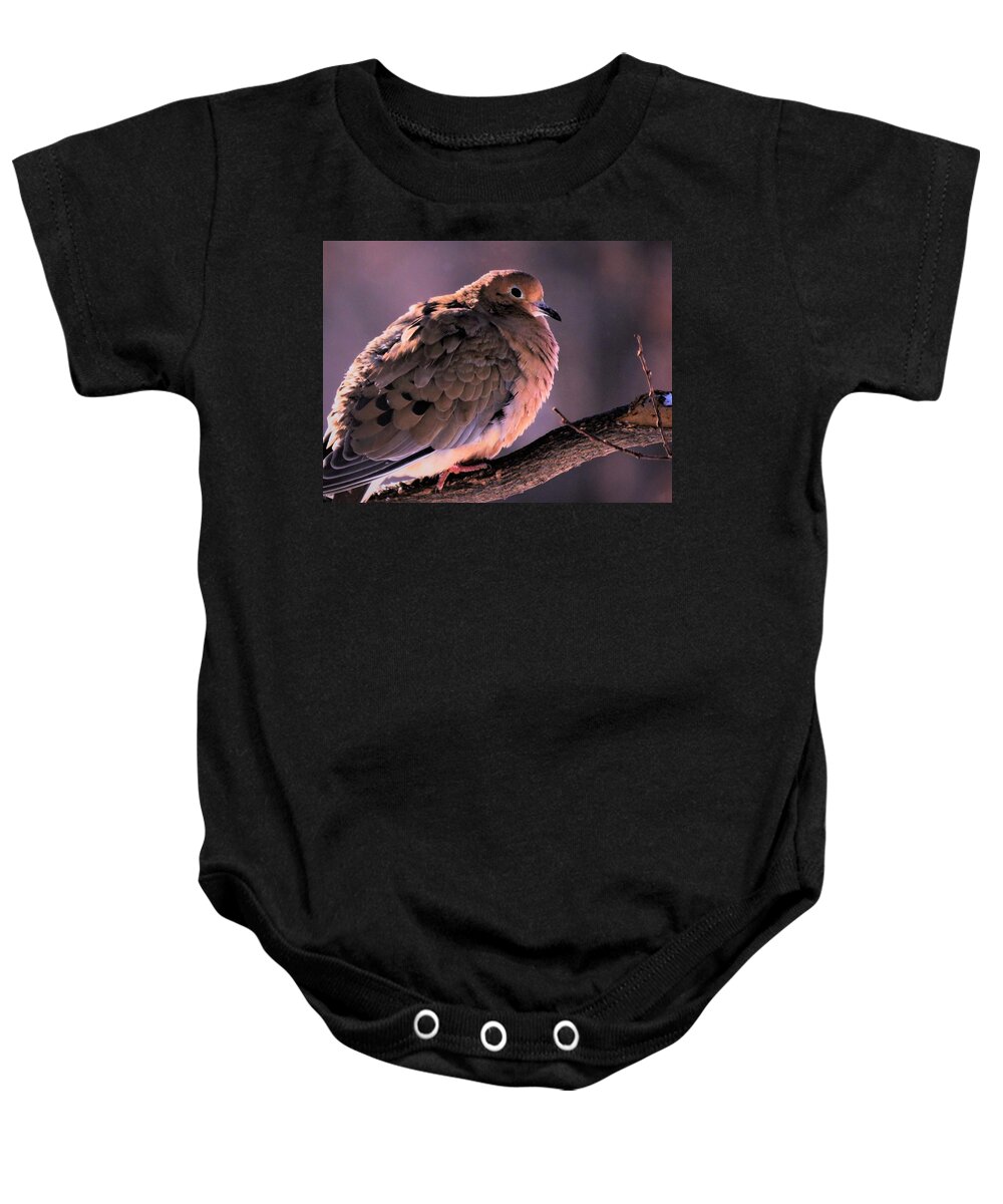 Mourning Doves Baby Onesie featuring the photograph Dove in Evening Light by Lori Frisch