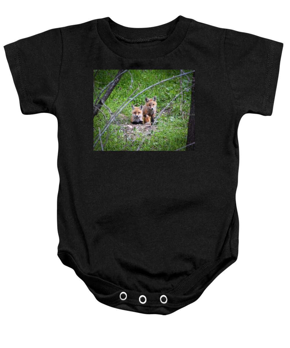 Fox Kits Baby Onesie featuring the photograph Fox Kits by Greg Smith