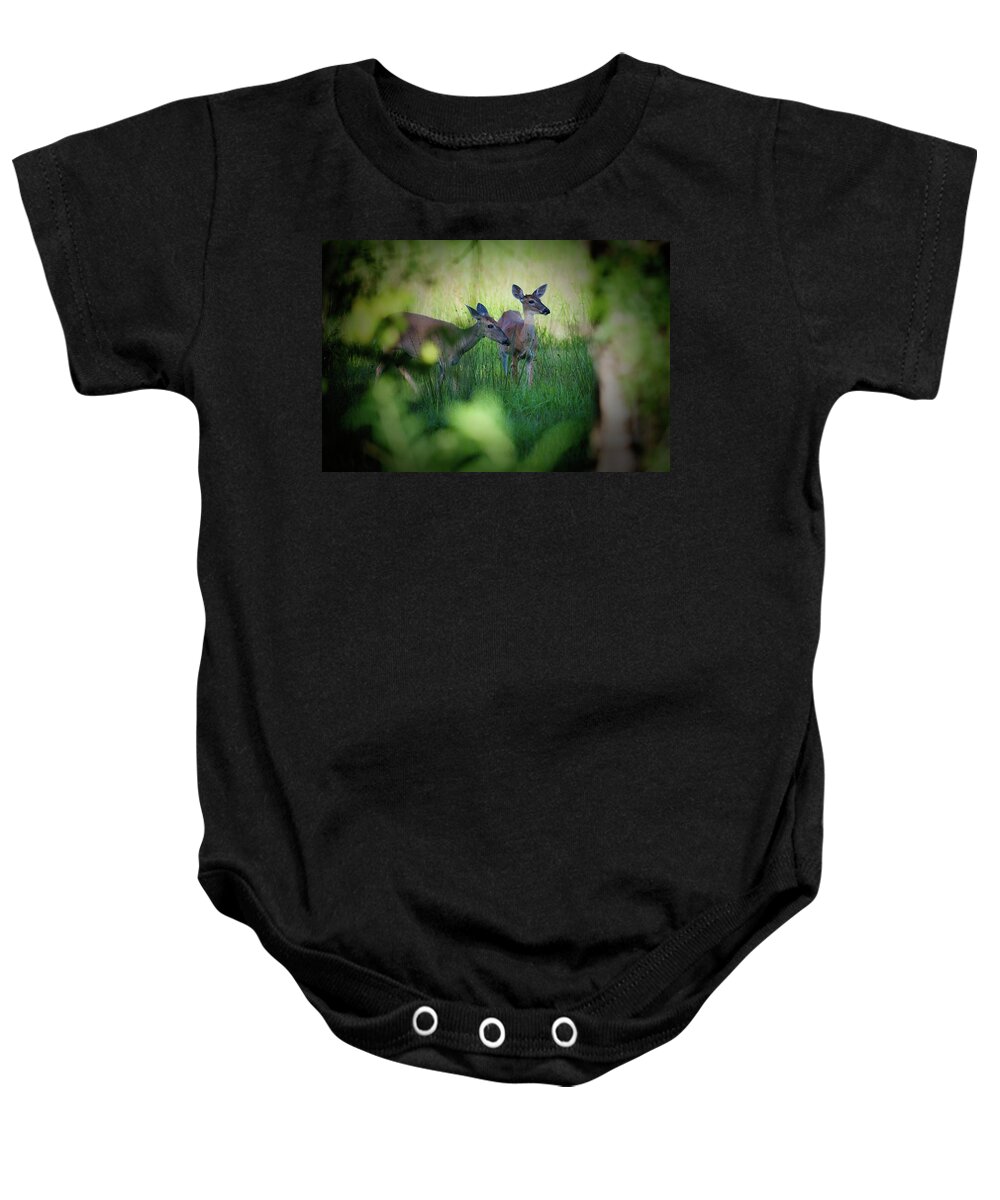 White-tailed Baby Onesie featuring the photograph Framed Two Deer by T Lynn Dodsworth