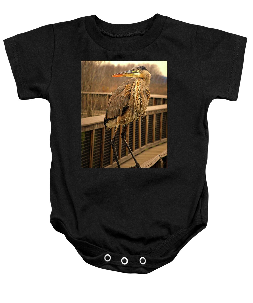 Heron Baby Onesie featuring the photograph Going My Way by Michael Allard