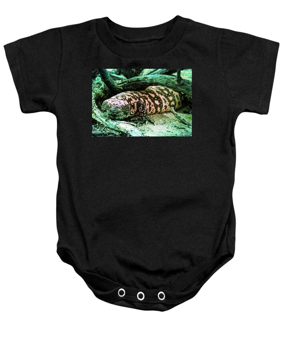 Animals Baby Onesie featuring the photograph Hi by Judy Kennedy