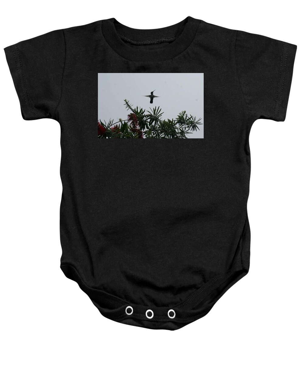 Florida Baby Onesie featuring the photograph Hummingbird Blessing by Lindsey Floyd