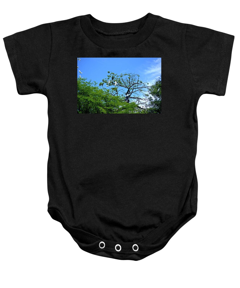 Cattle Egret Baby Onesie featuring the photograph Ibis Risen by Climate Change VI - Sales