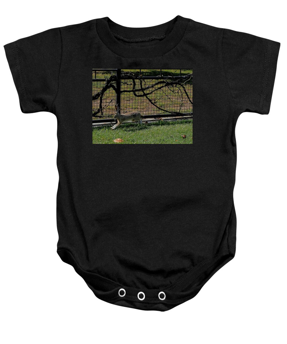 Animal Baby Onesie featuring the photograph Jack Running by Richard Thomas