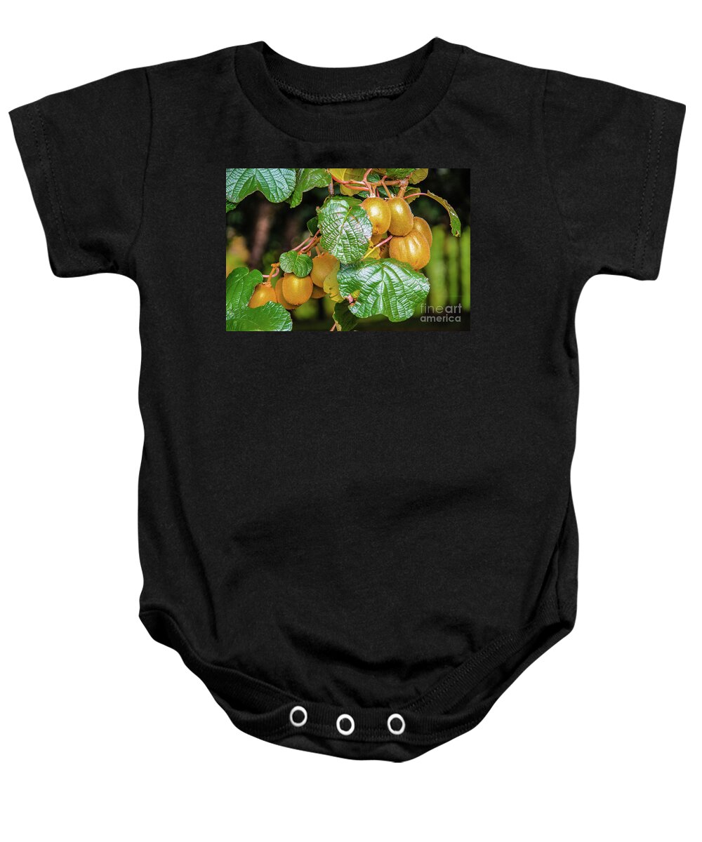 Kiwi Baby Onesie featuring the photograph Kiwi farm, New Zealand by Lyl Dil Creations