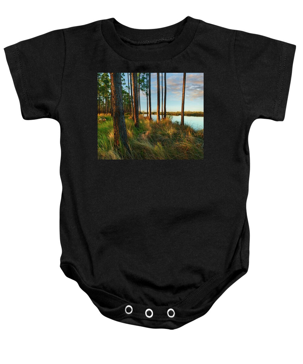 00546368 Baby Onesie featuring the photograph Longleaf Pines, Sopchoppy River, Ochlockonee River State Park, Florida by Tim Fitzharris