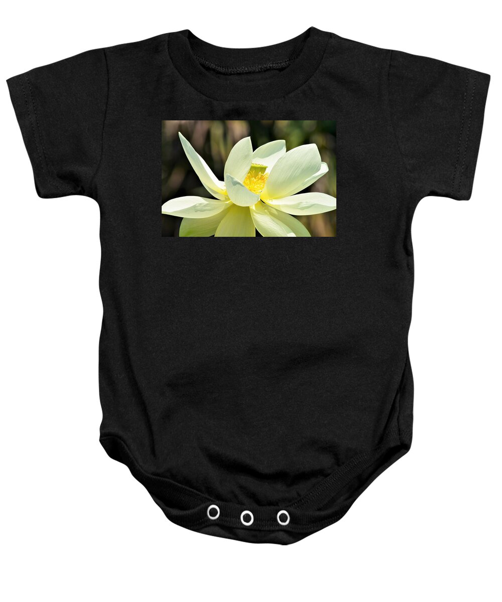 Lotus Baby Onesie featuring the photograph Lotus by Mary Ann Artz