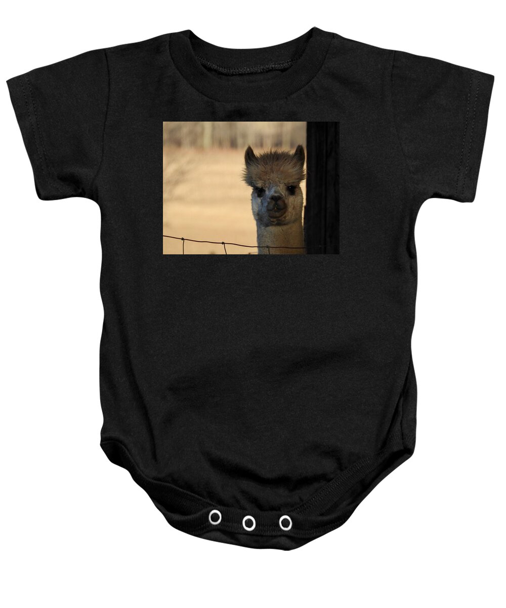 Alpaca Baby Onesie featuring the photograph Lovely Alpaca Eyes by Kathy Ozzard Chism