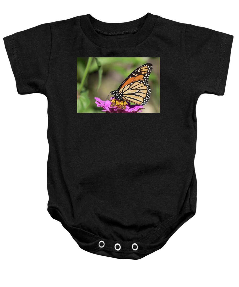 Monarch Butterfly Baby Onesie featuring the photograph Monarch 2018-32 by Thomas Young