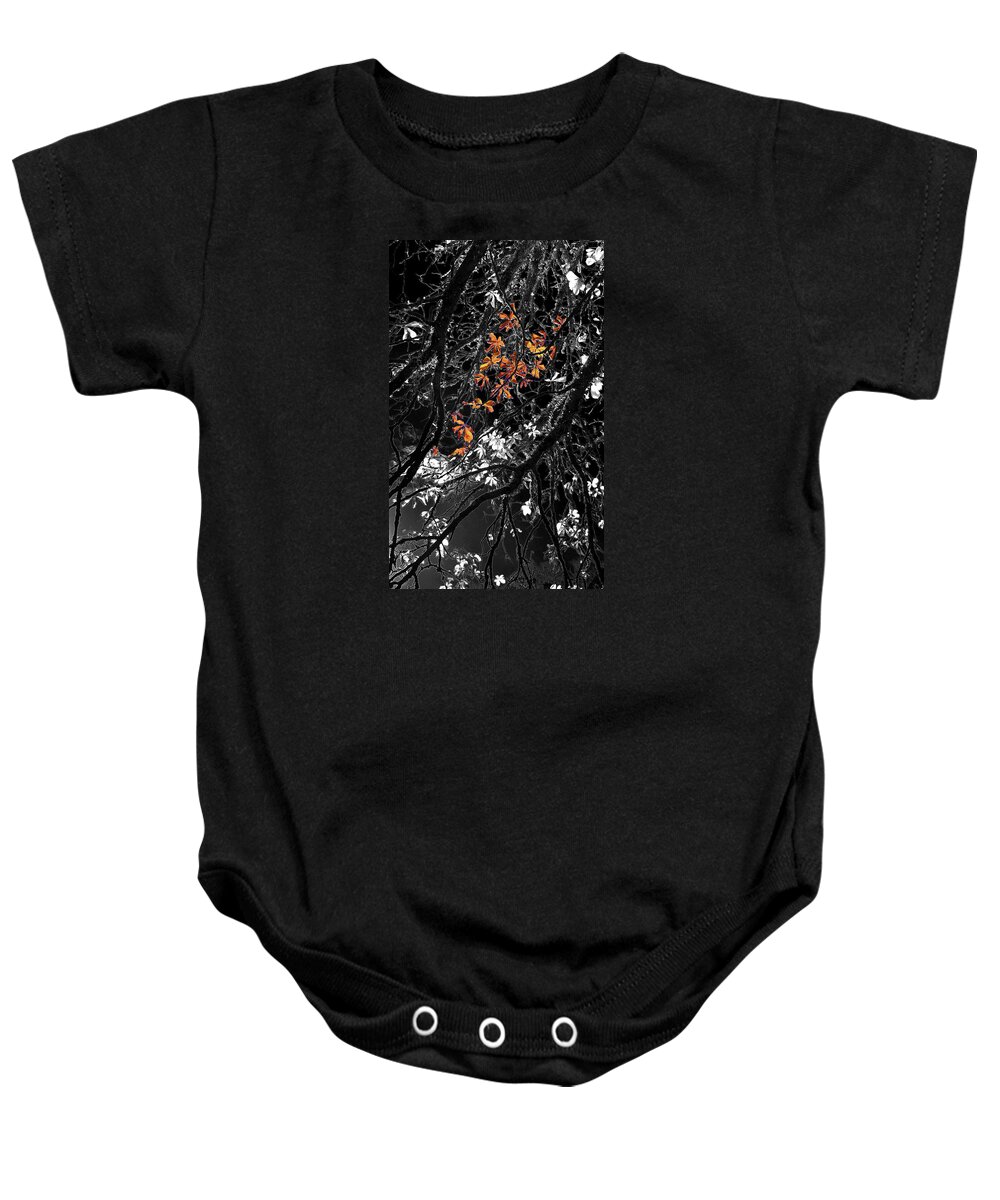 Digital Art Baby Onesie featuring the photograph Moon Kissed Amber by Ian Anderson