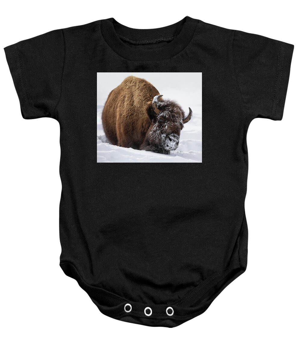 American Bison Baby Onesie featuring the photograph Morning Frost by Art Cole