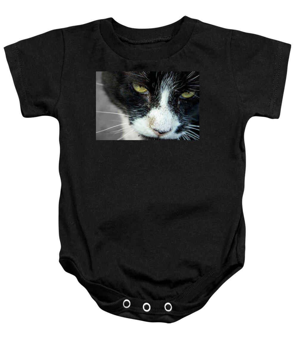 Cats Baby Onesie featuring the photograph Mr. Tom's Close-Up by Sandra Dalton