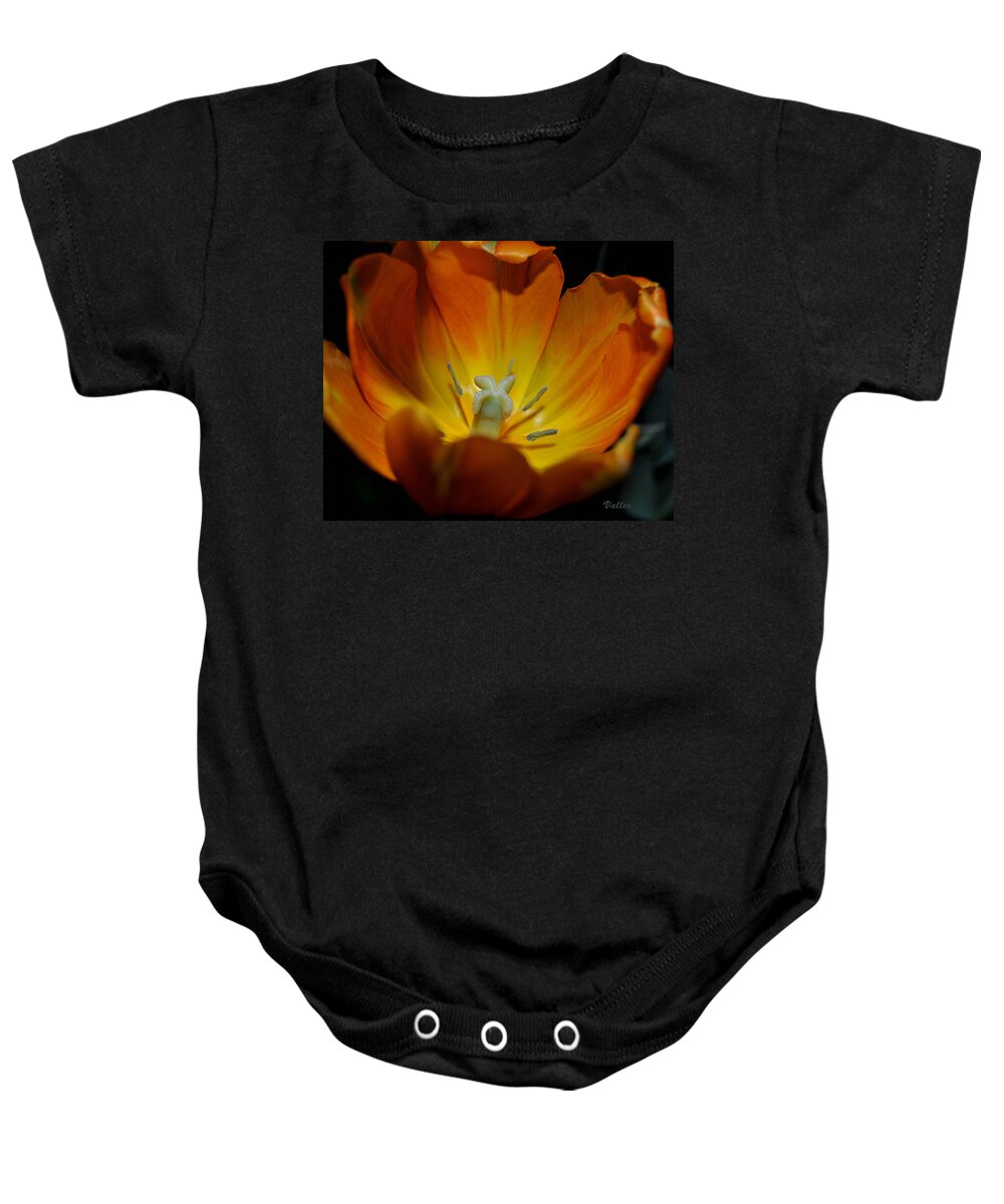 Flower Baby Onesie featuring the photograph Open Tulip by Vallee Johnson