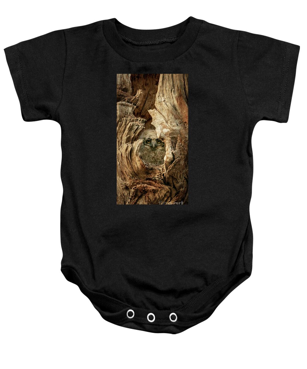 Owl Baby Onesie featuring the photograph Peek a boo 2 by Rudy Viereckl