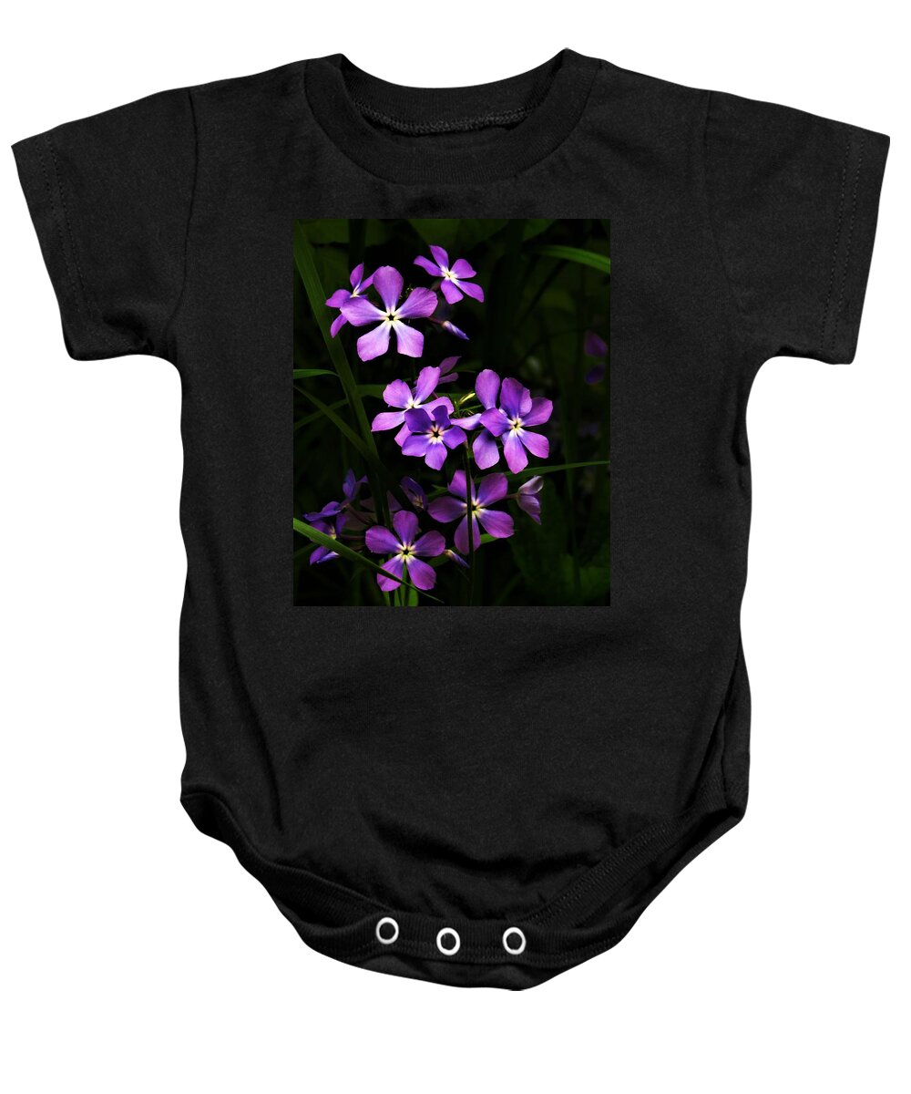 Phlox Baby Onesie featuring the photograph Phlox in the Woods by Lori Frisch