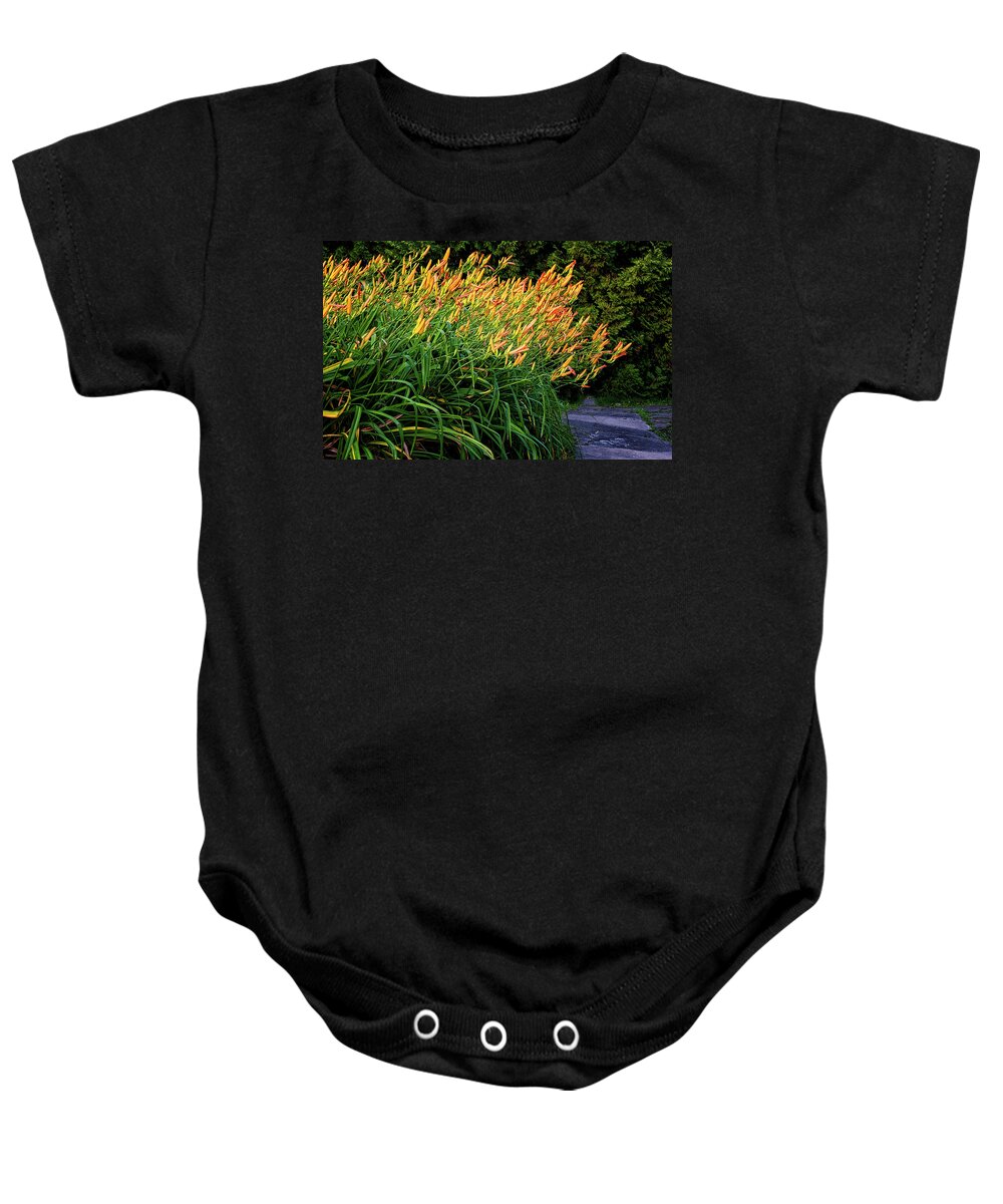 St Lawrence Seaway Baby Onesie featuring the photograph River Day Lilies by Tom Singleton