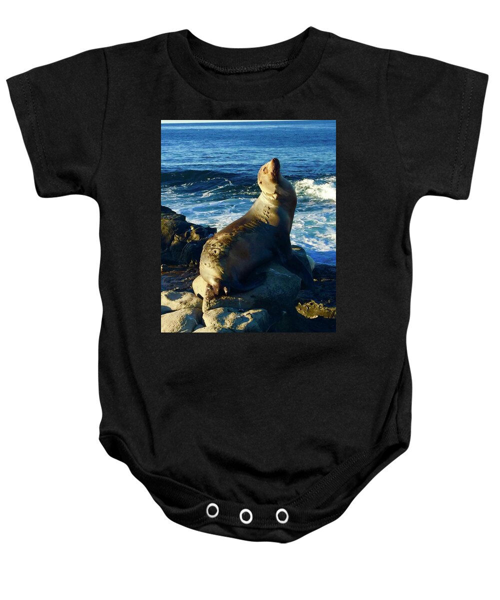 La Baby Onesie featuring the photograph Sea Lion,La Jolla Cove,SD by Bnte Creations