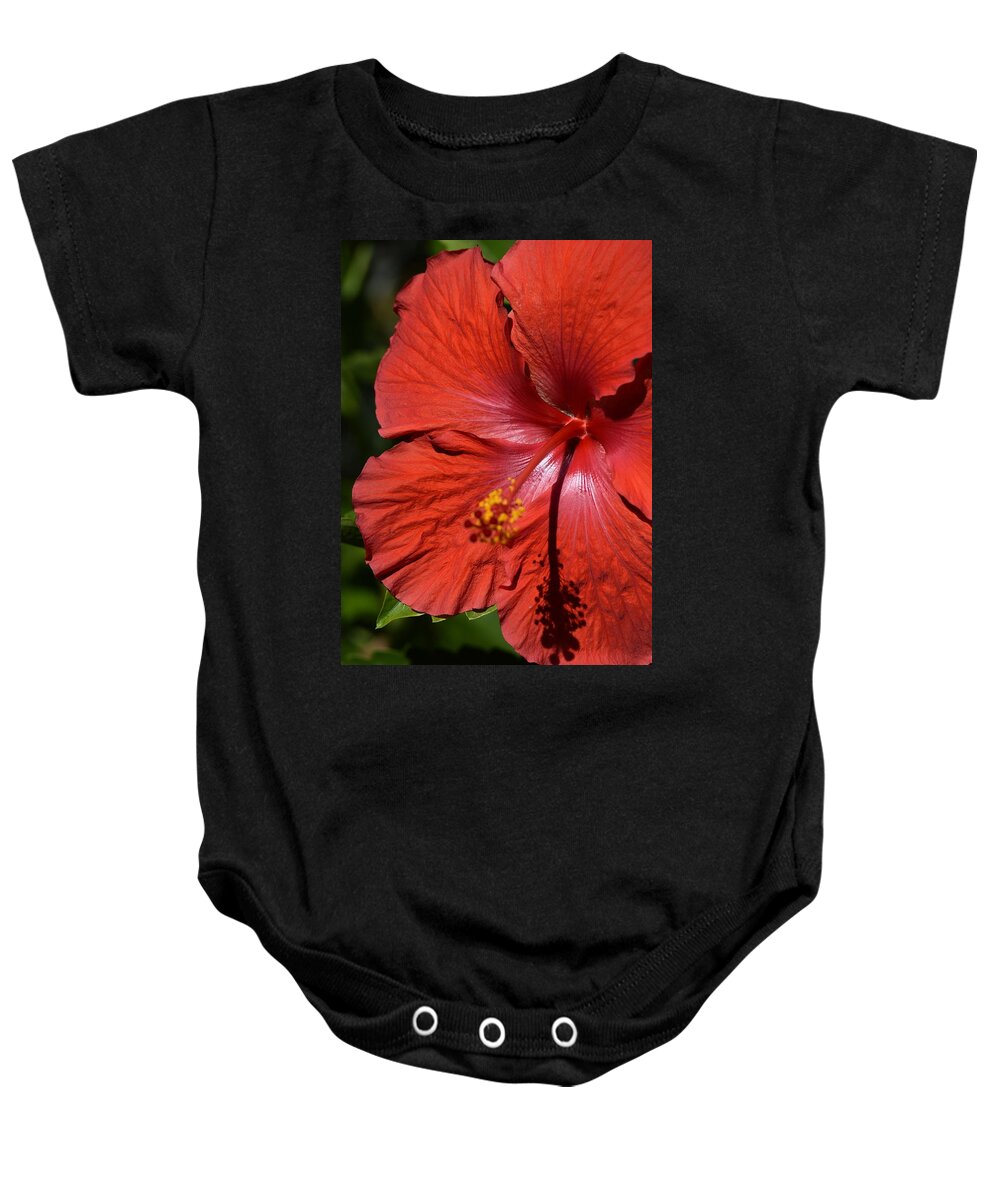 Raw Image Baby Onesie featuring the photograph Sharp Shadow by Debra Grace Addison