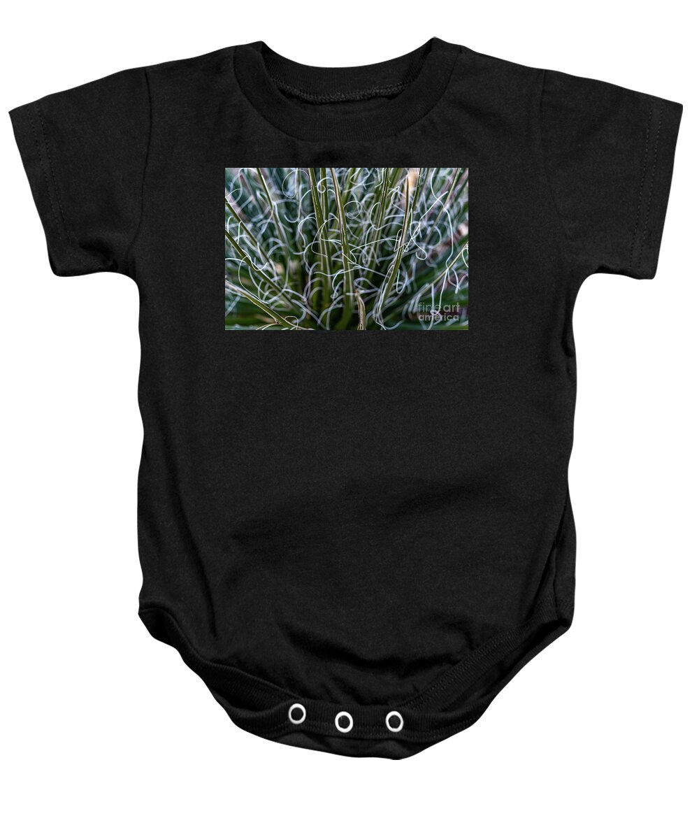 Abstract Baby Onesie featuring the photograph Spiky Abstract Plant with Dry Brush Effect by Roslyn Wilkins