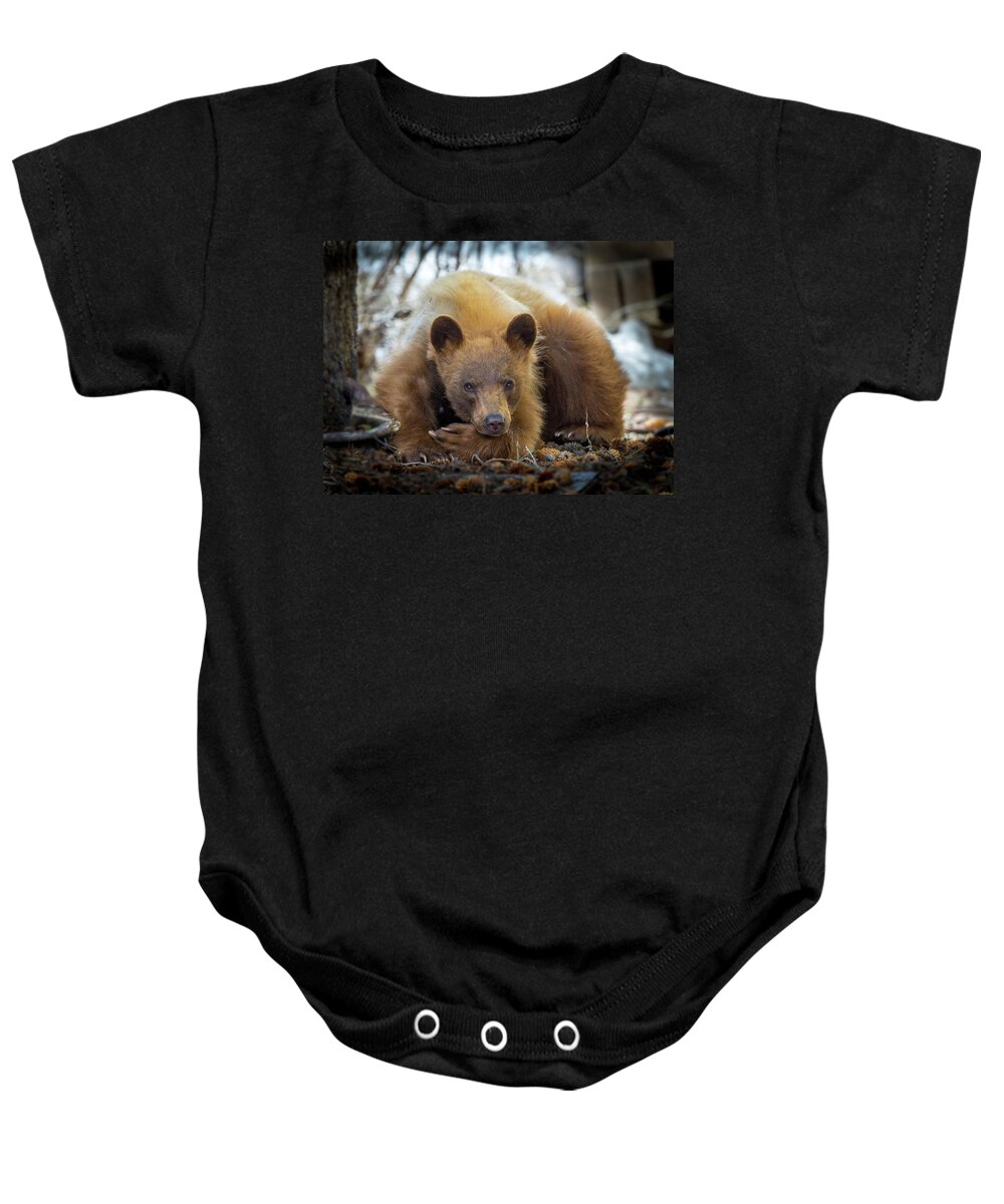 Bear Baby Onesie featuring the photograph Spring Slumber by Kevin Dietrich