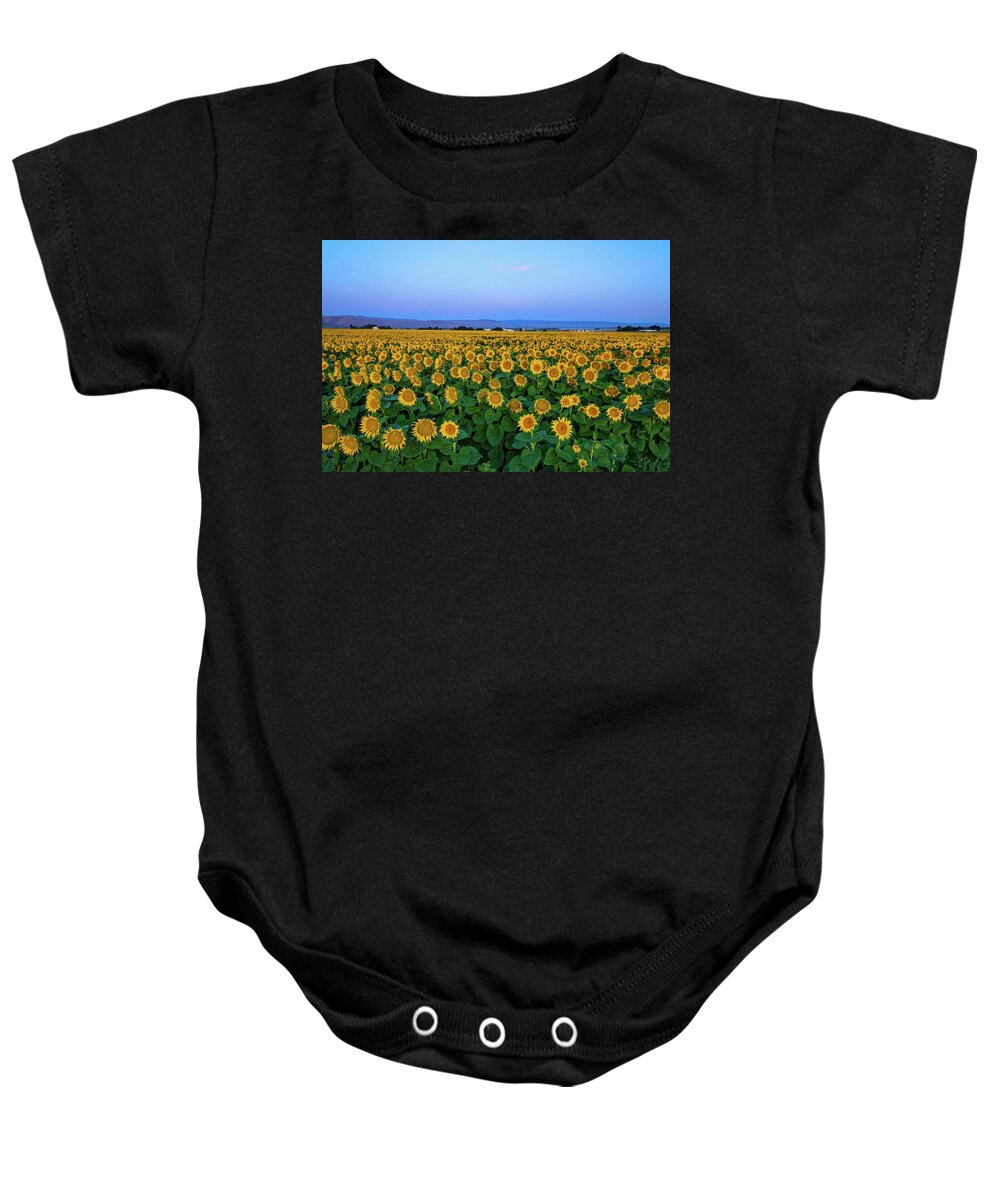Sunrise Sunflower Field 2 Baby Onesie featuring the photograph Sunrise Sunflower Field 2 by Lynn Hopwood