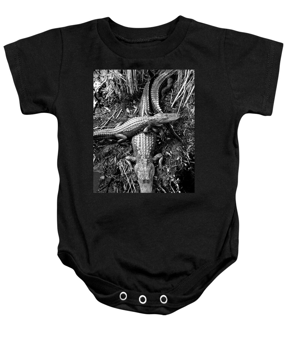 Alligators Swamp Everglades Baby Onesie featuring the photograph Swamp Critters #2 by Neil Pankler