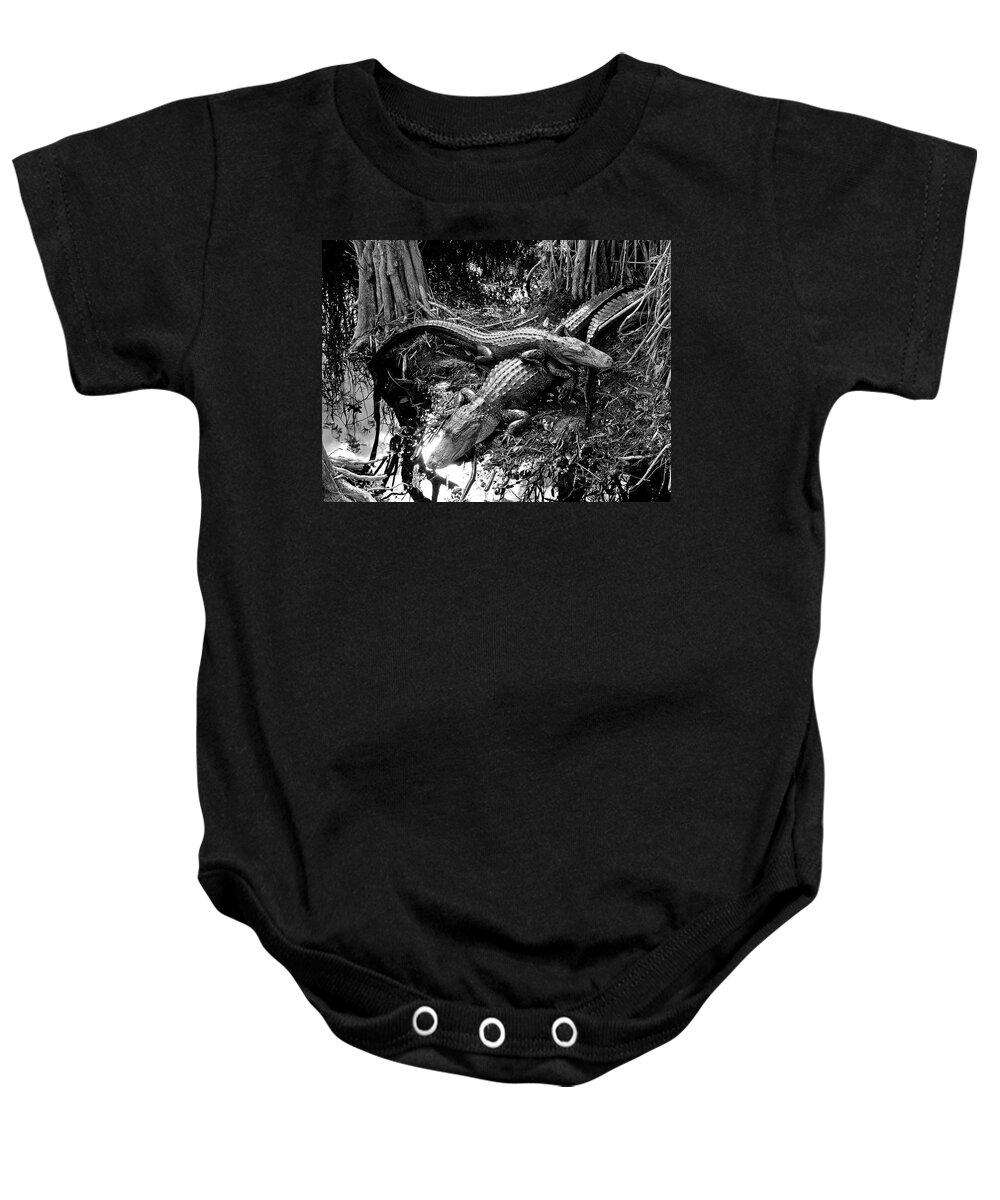 Alligators Swamp Everglades Baby Onesie featuring the photograph Swamp Critters by Neil Pankler