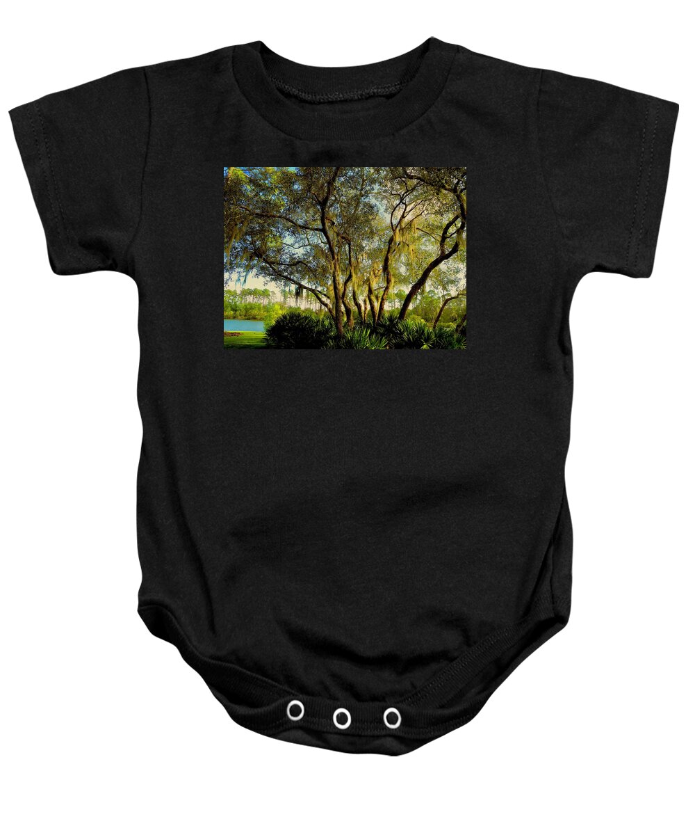 Nature Baby Onesie featuring the photograph The Lake Beyond by Alida M Haslett
