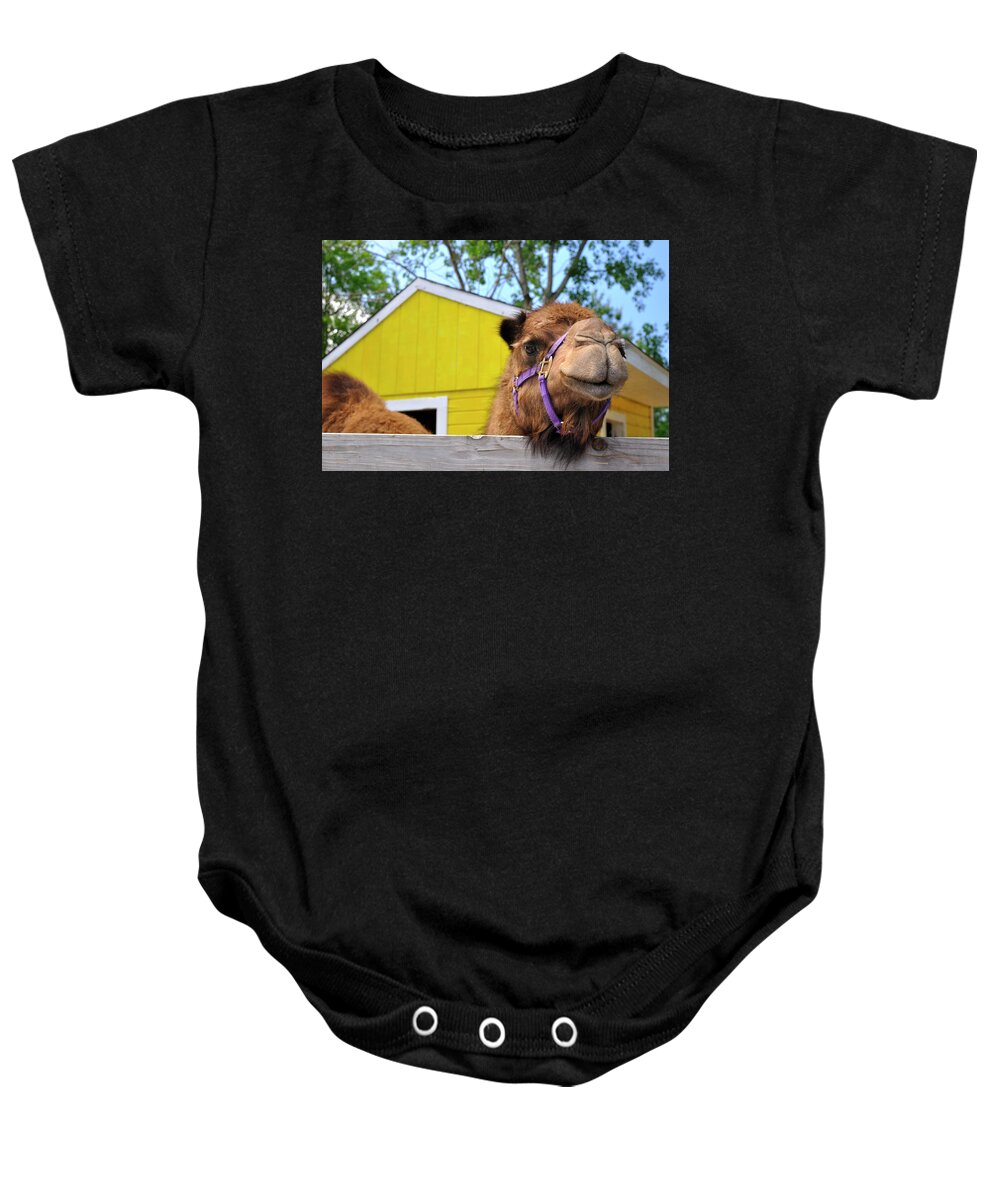 Camel Baby Onesie featuring the photograph Why Hello There by Luke Moore