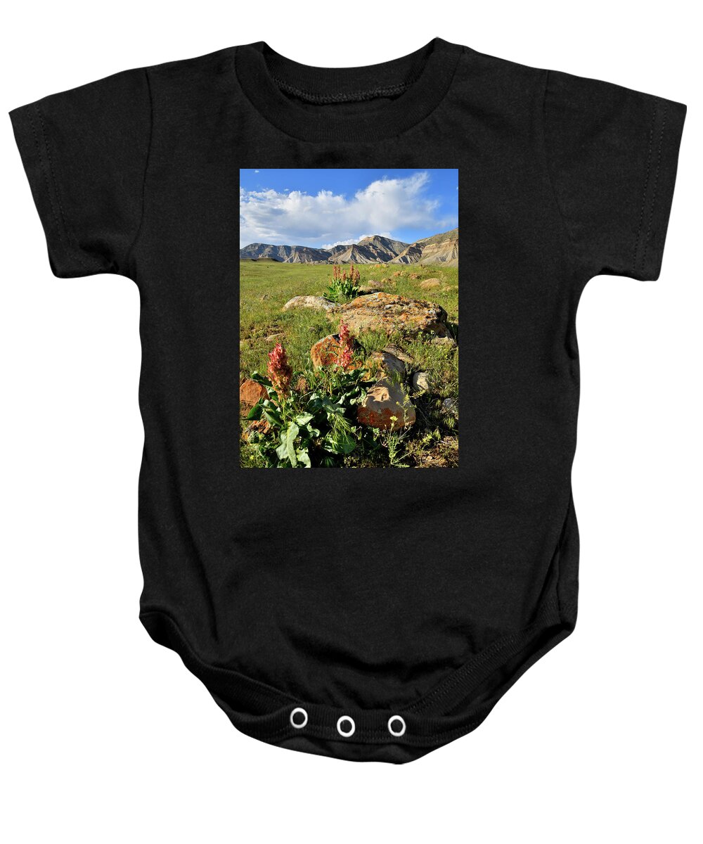 Book Cliffs Baby Onesie featuring the photograph Wildflower Blooms in Book Cliffs by Ray Mathis