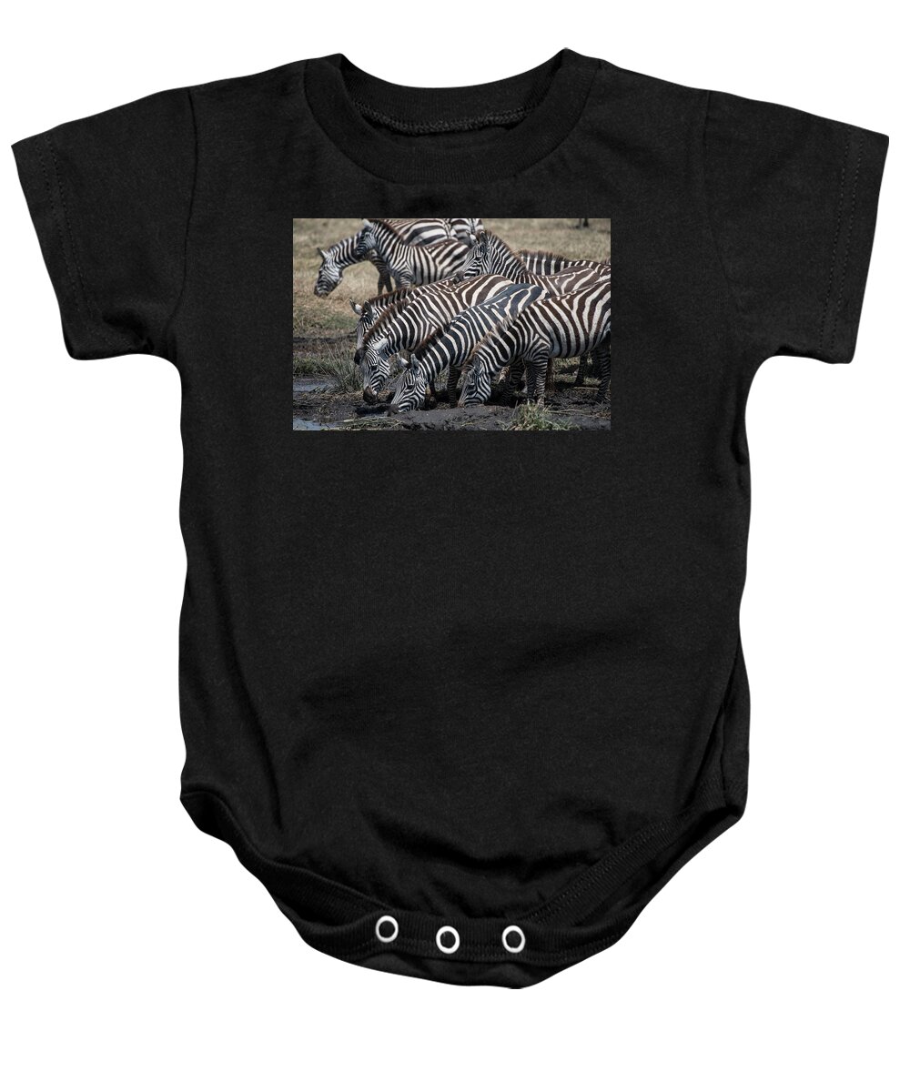 Africa Baby Onesie featuring the photograph Zebra Herd at mudhole by Steve Somerville