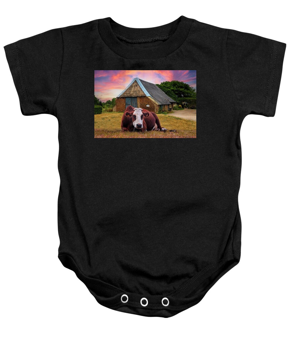 Animals Baby Onesie featuring the photograph How Now Brown Cow #1 by Debra and Dave Vanderlaan
