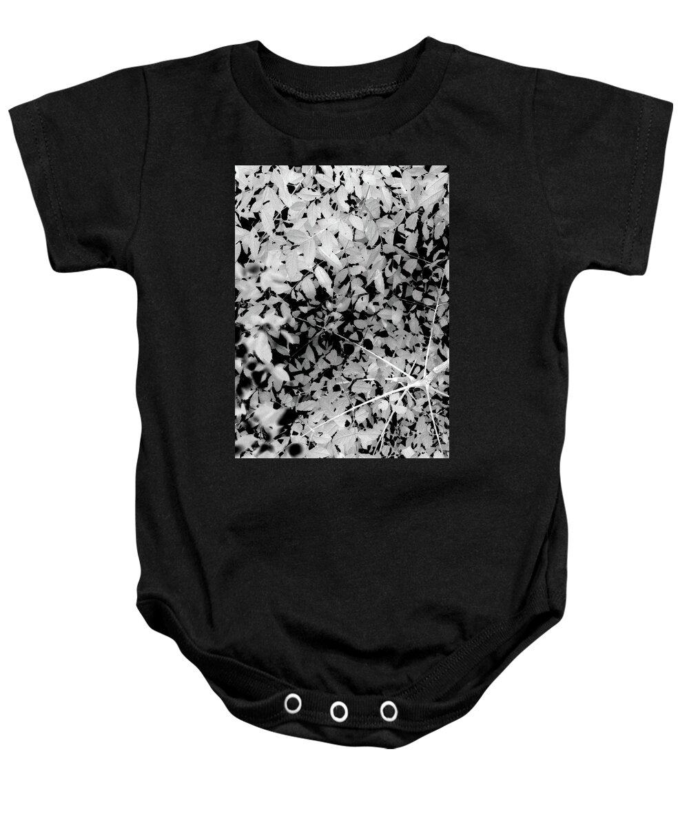 Black Baby Onesie featuring the photograph Leaves9384 #1 by Carolyn Stagger Cokley