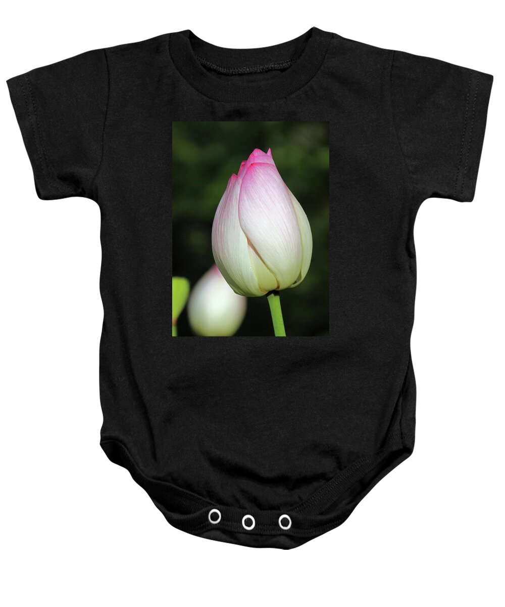 Flower Baby Onesie featuring the photograph Lovely Lines #2 by Carolyn Stagger Cokley