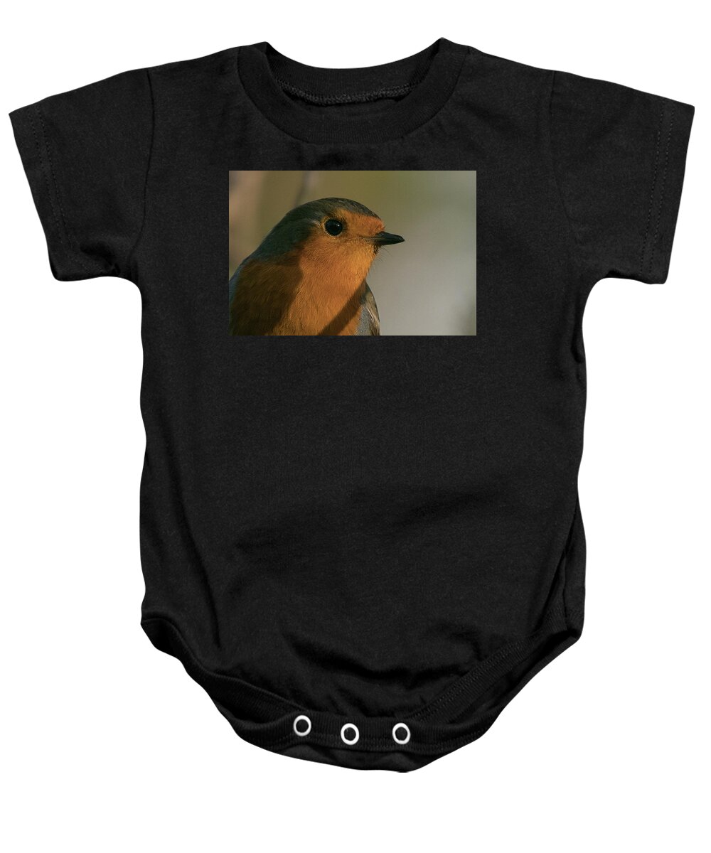 Robin Baby Onesie featuring the photograph Robin #1 by Wendy Cooper