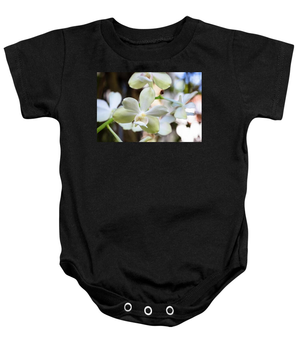 Background Baby Onesie featuring the photograph White Orchid Flowers #1 by Raul Rodriguez