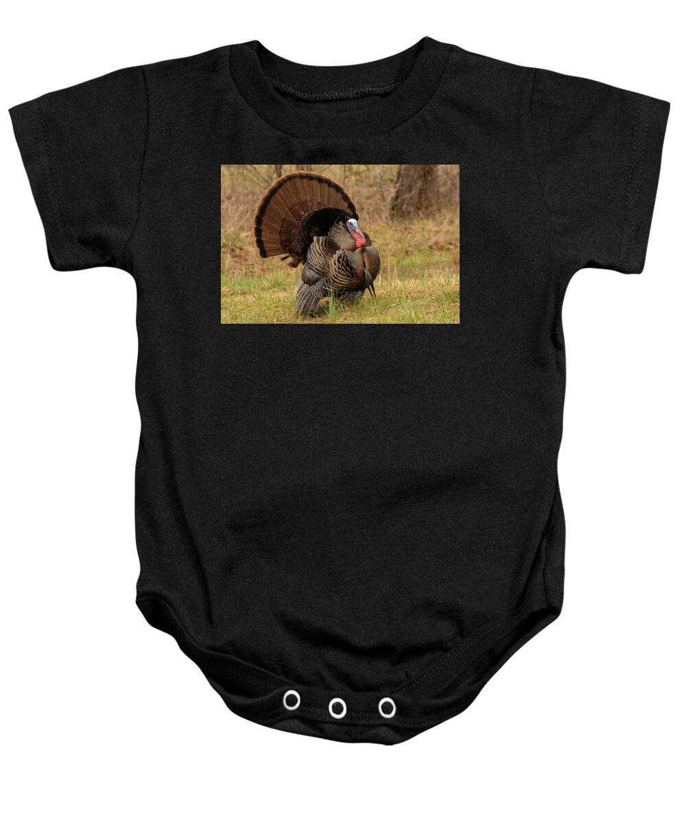 Turkey Baby Onesie featuring the photograph Wild Turkey #1 by Doug McPherson